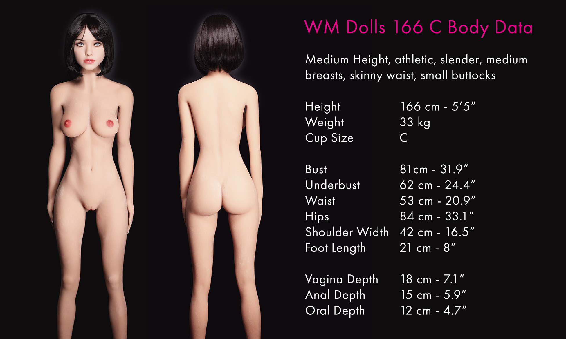 Measurements for the WM Dolls 166 cm C Cup STPE and TPE sex doll.