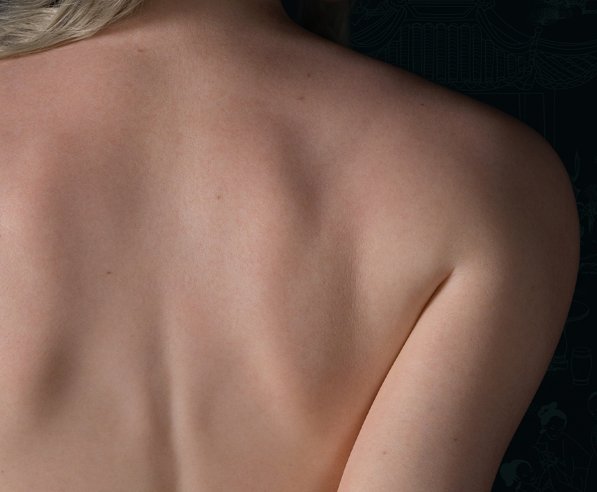 The high level of detail on the back and shoulders of a Zelex full silicone Inspiration Series 2.0 sex doll, available now in New Zealand.