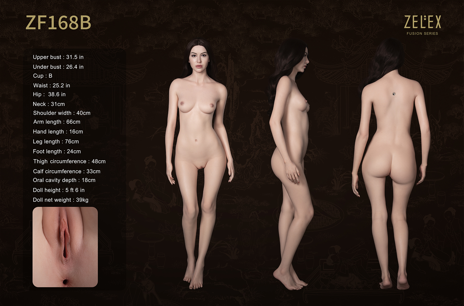 The measurements of the Zelex Fusion Series 168 cm B Cup silicone sex doll, shown with three different angles.