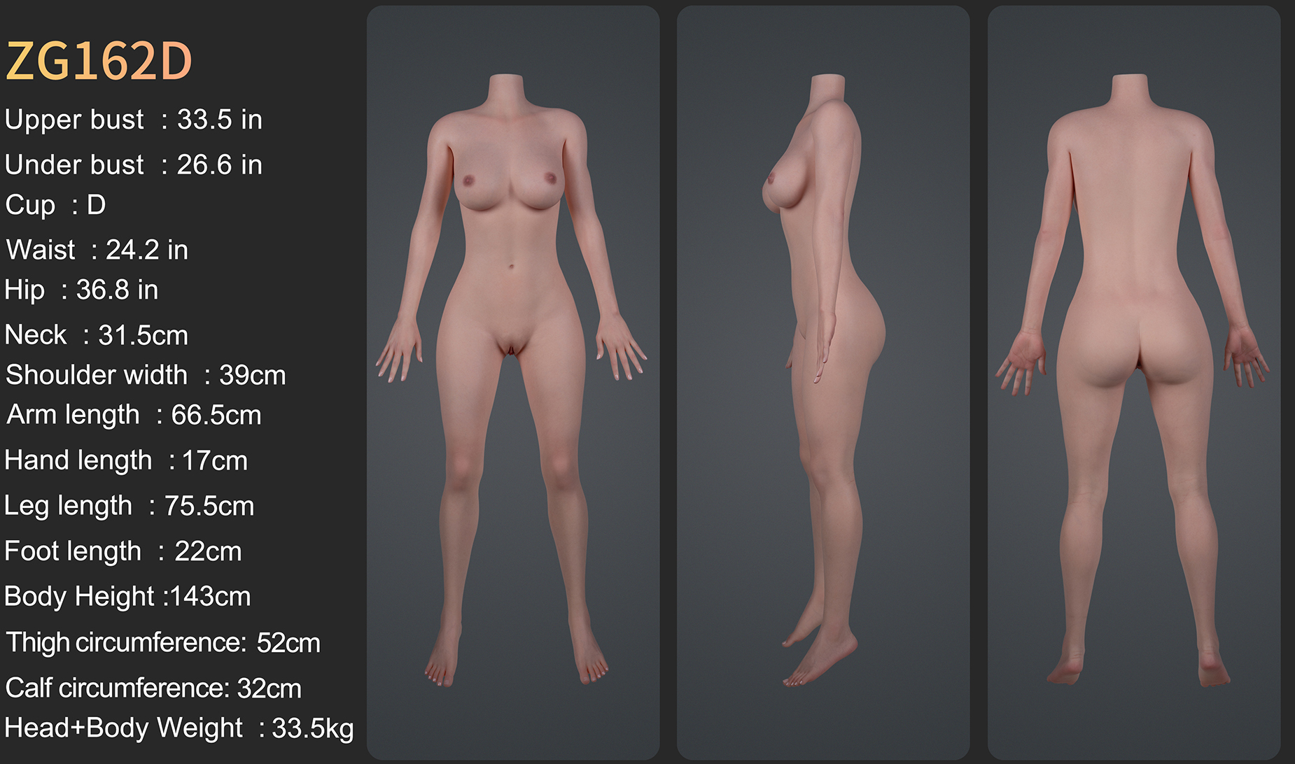 Body measurements for the Zelex Inspiration Series 2.0 silicone sex doll 162 cm D Cup body, available now in New Zealand.