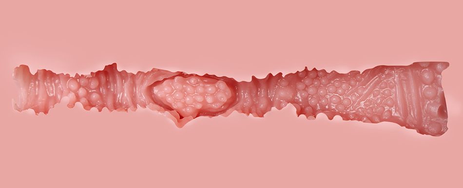 The side view of the vaginal tunnel of a Top CY Doll sex doll.